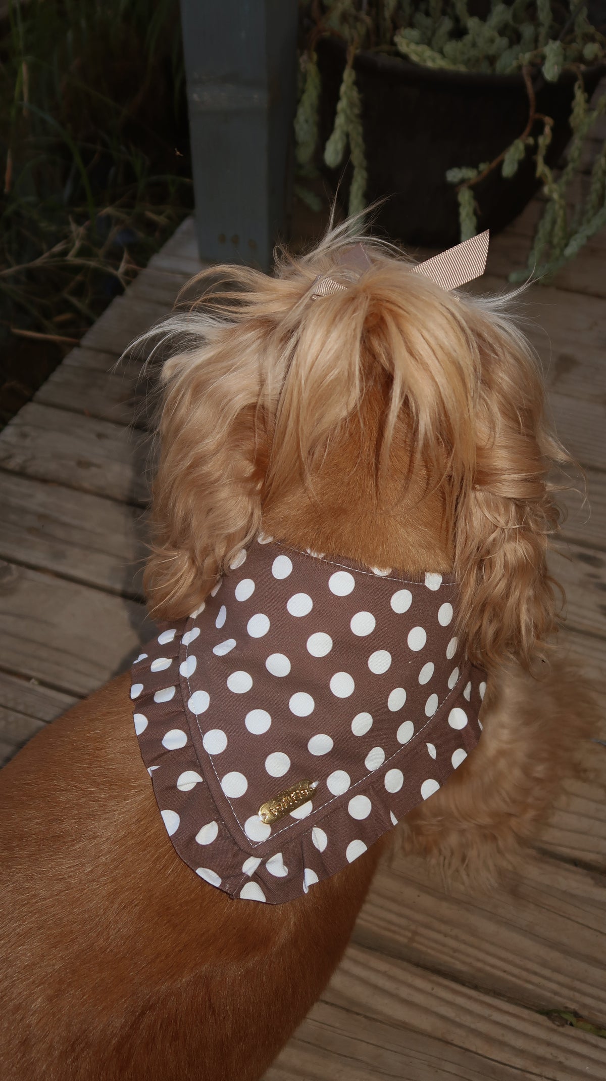 Coco Bandana
