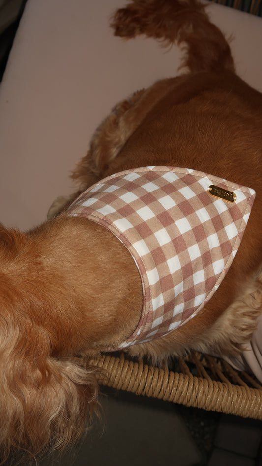 Country Lane Bow