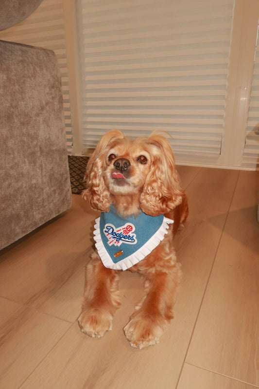 Ninth Inning Bandana