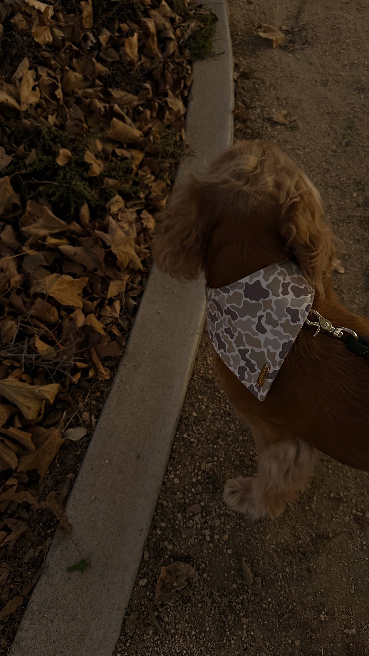 Little Ranger Bandana