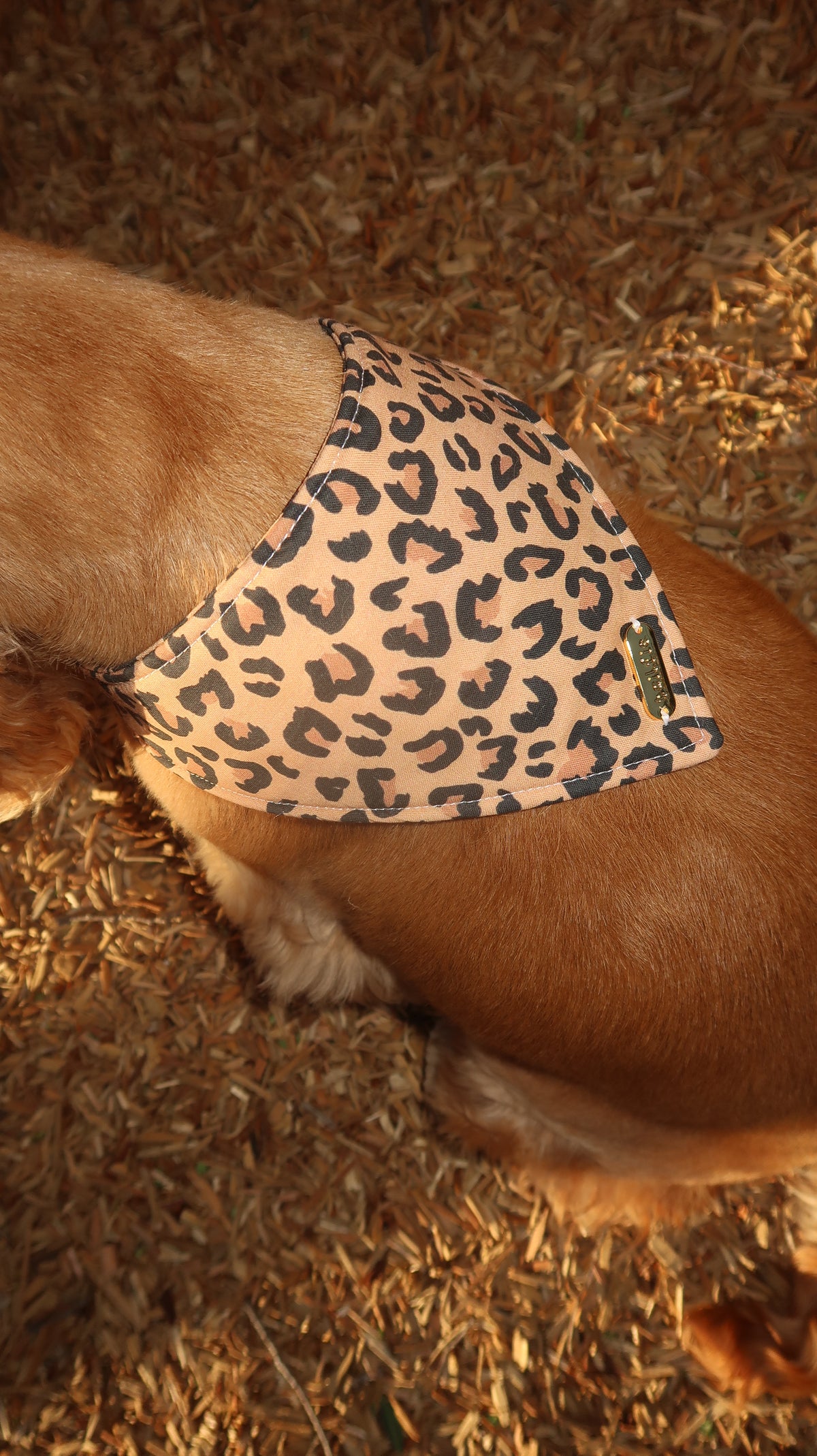 Savanna Bandana