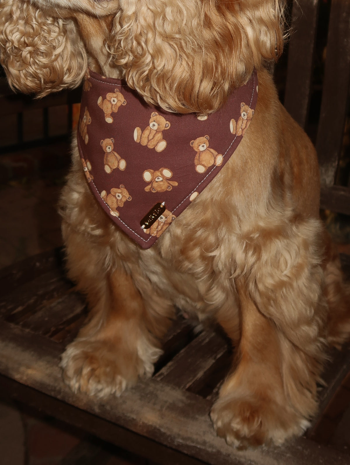 Theodore Bandana