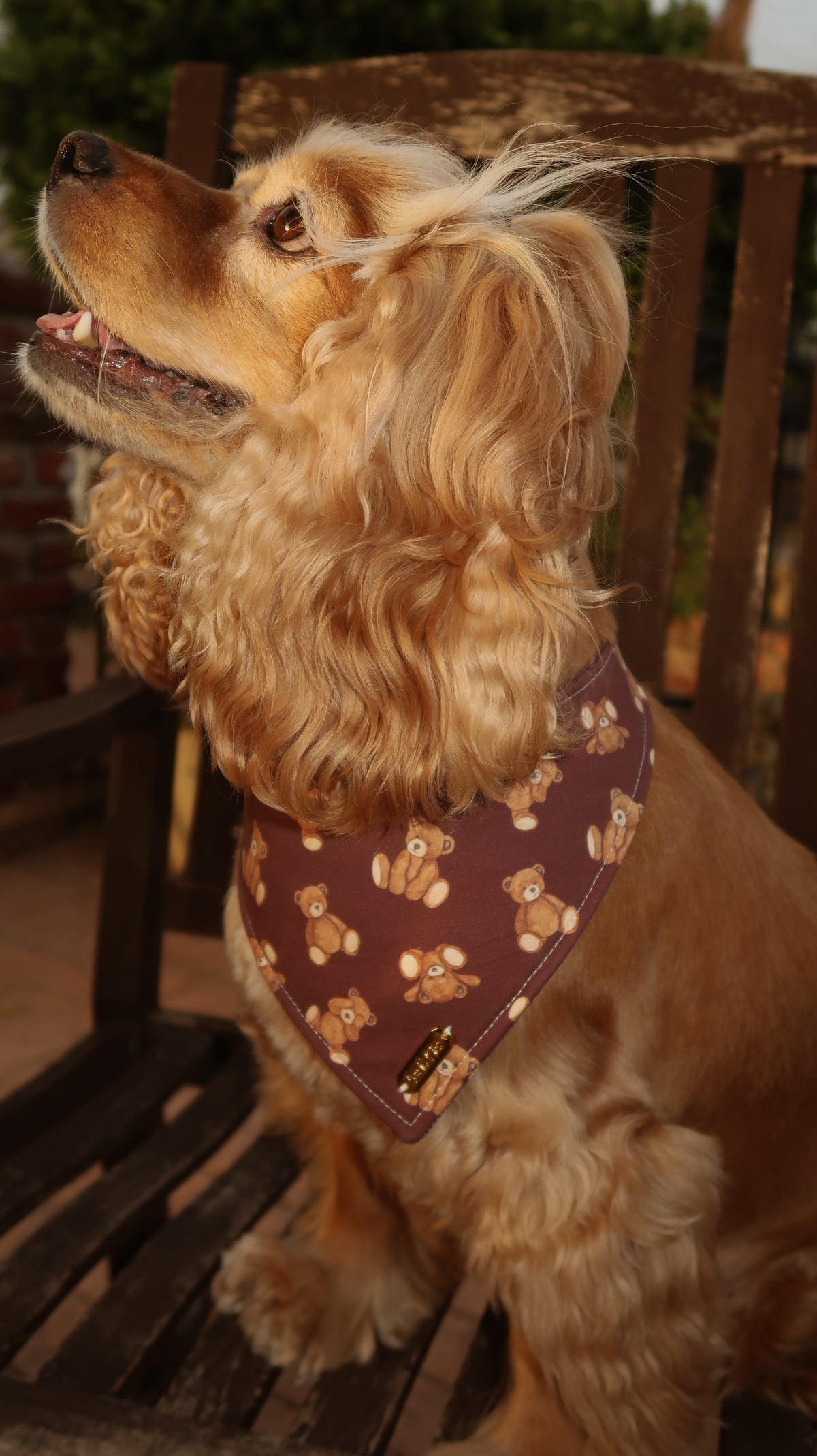 Theodore Bandana