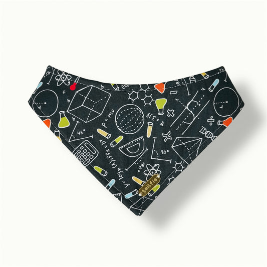 Einstein Bandana