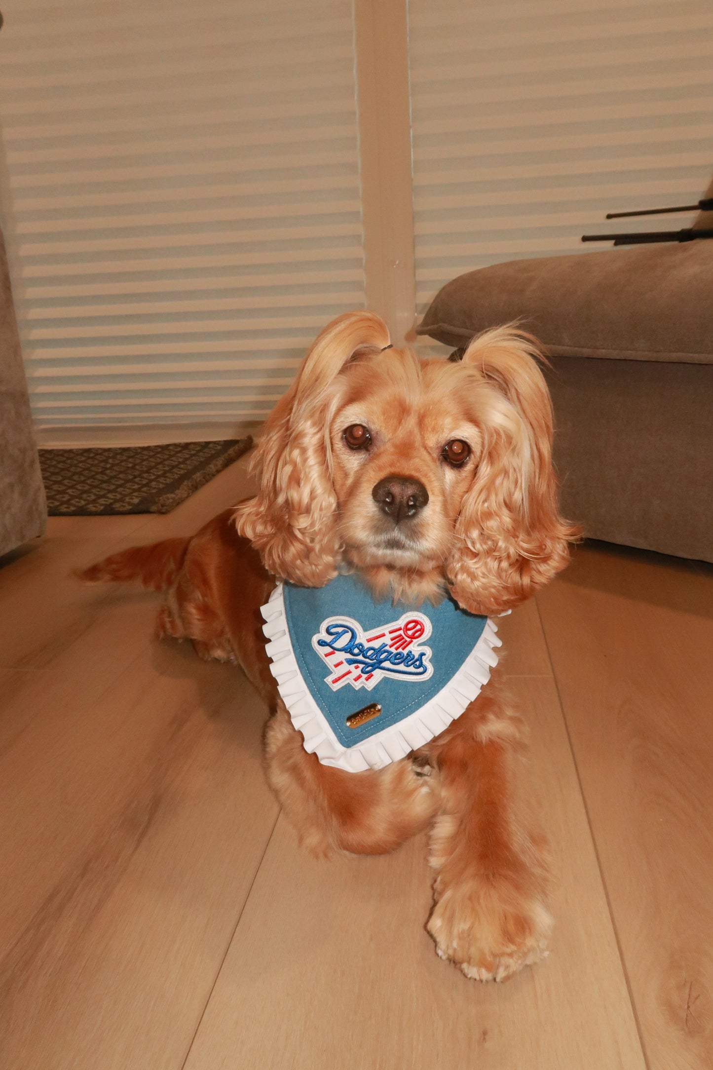 Ninth Inning Bandana