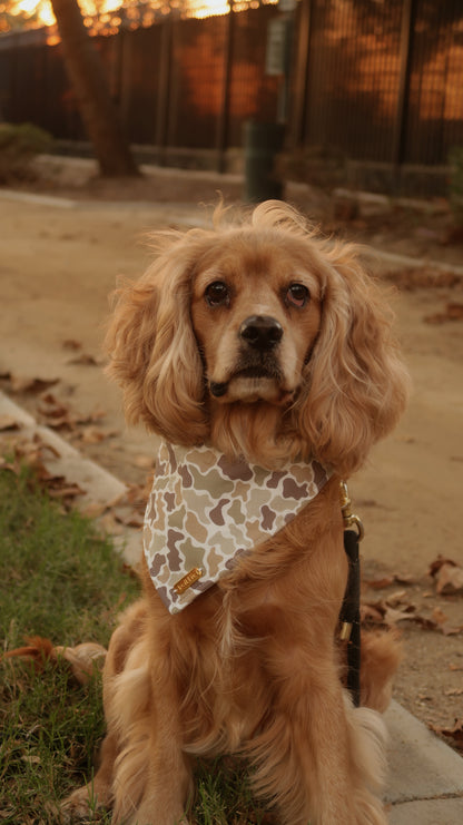 Little Ranger Bandana