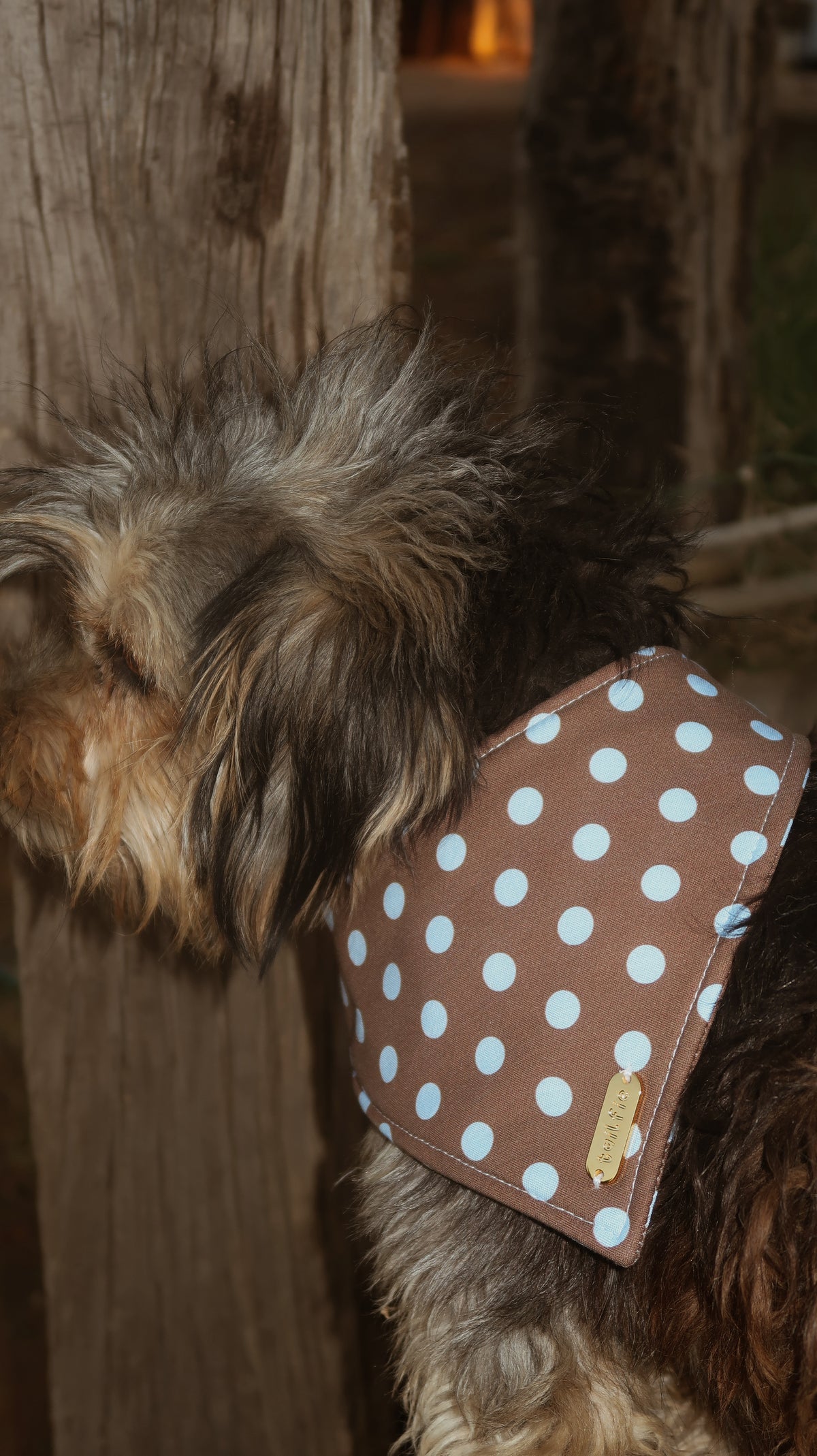 Blueberry mocha Bandana