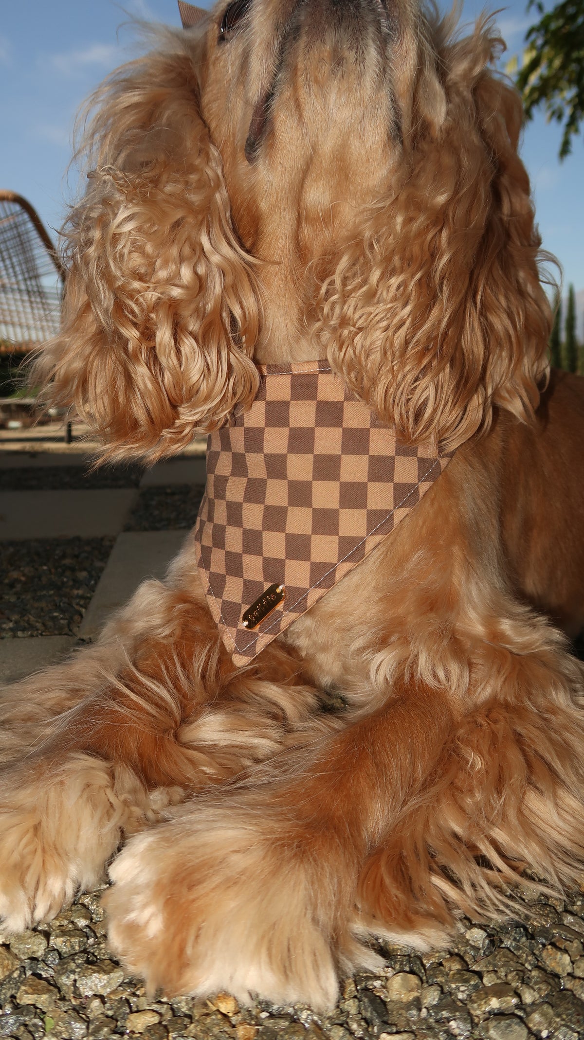 Chester Bandana