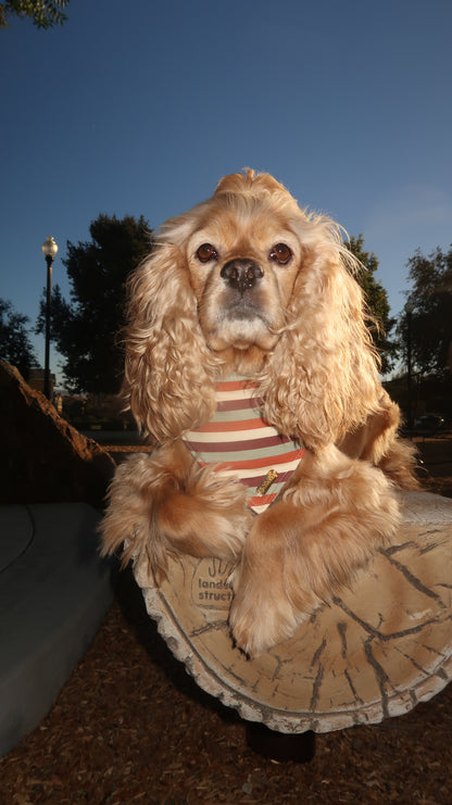Sedona Bandana