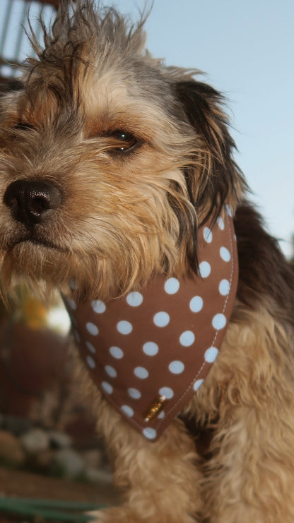 Blueberry mocha Bandana