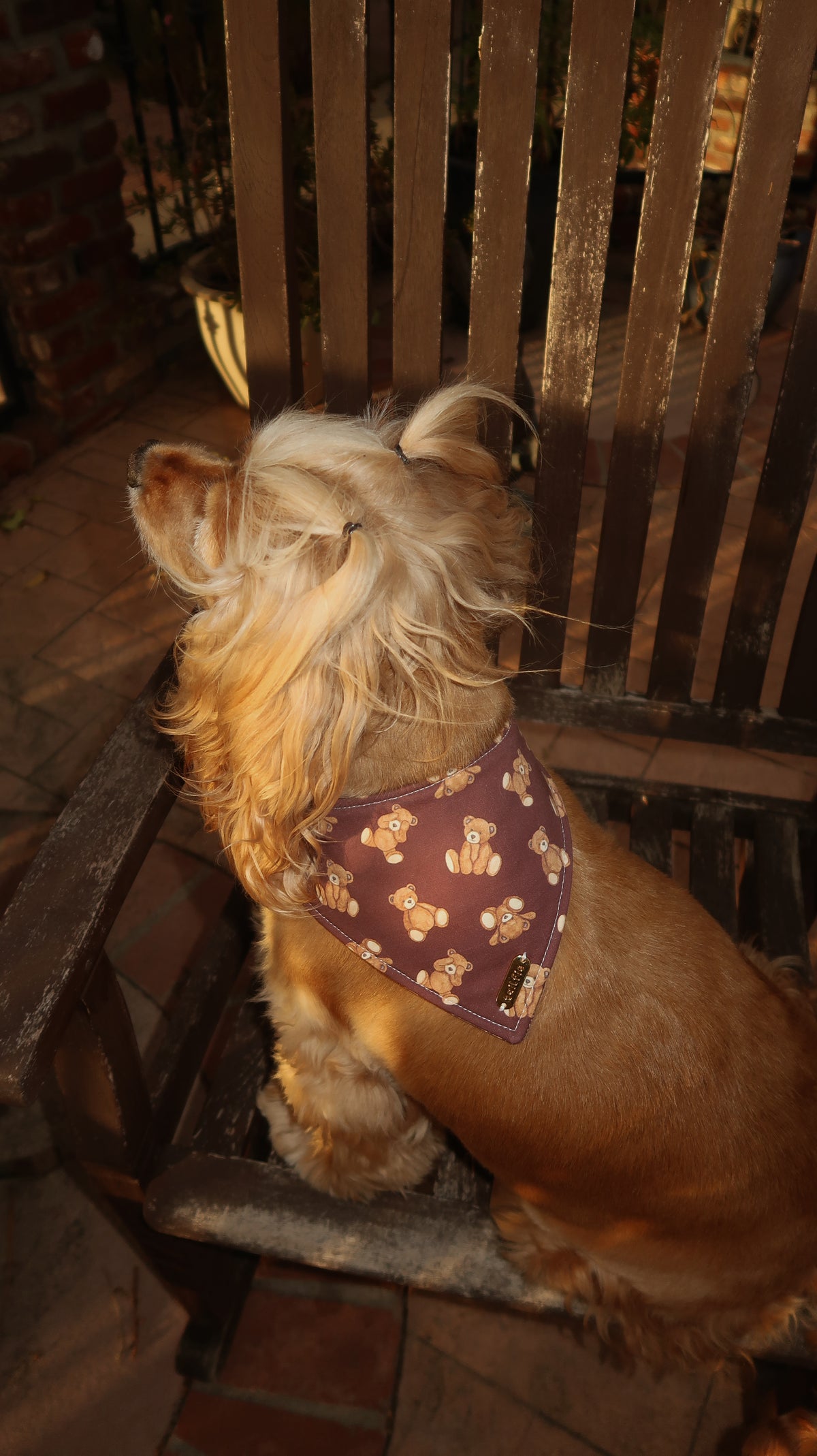 Theodore Bandana