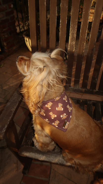 Theodore Bandana