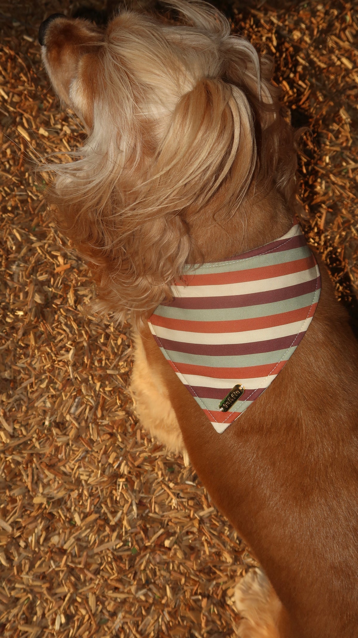 Sedona Bandana
