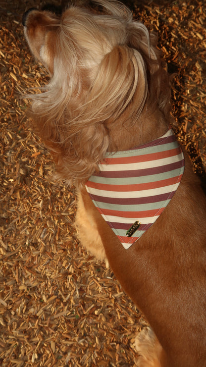 Sedona Bandana