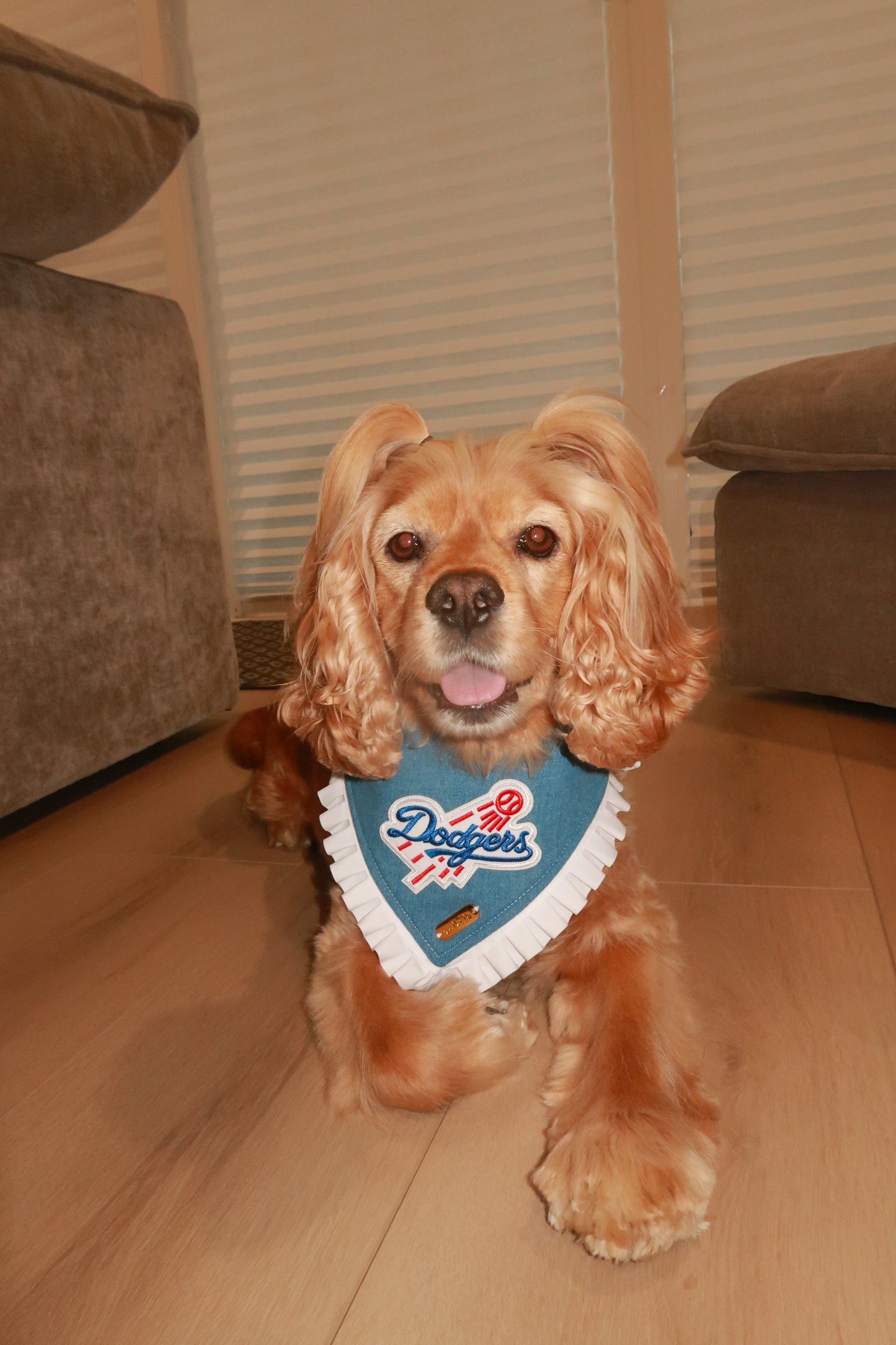 Ninth Inning Bandana