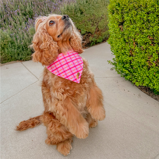 Sherbet Sunset Bandana