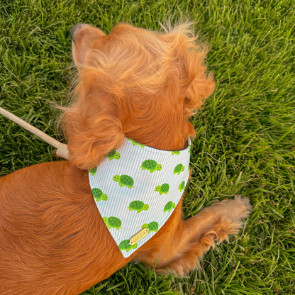 Turtle Bay Bandana
