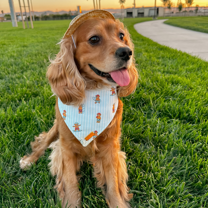 Surf’s Up Bandana