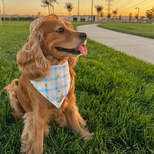 Coastal Picnic Bandana