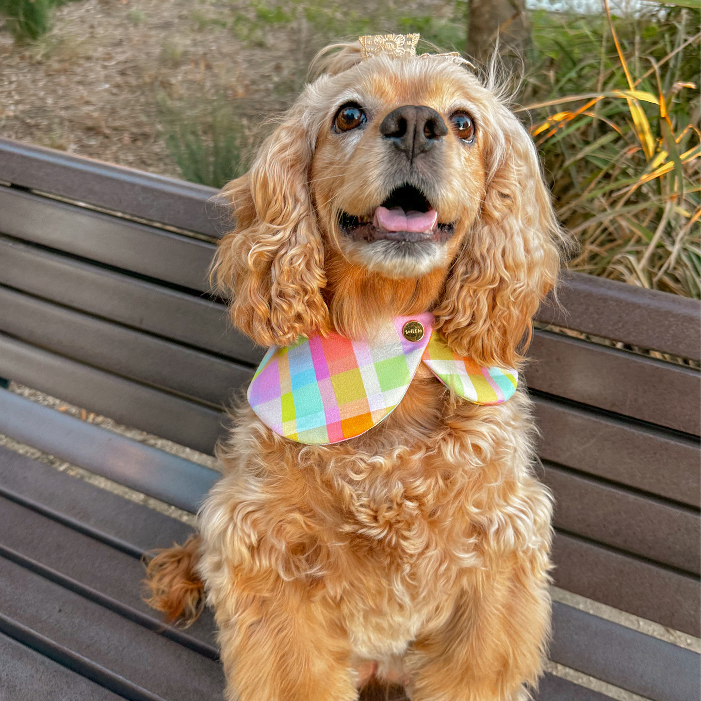 Rainbow Cove Clover Wrap