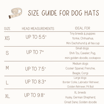 Dog hat