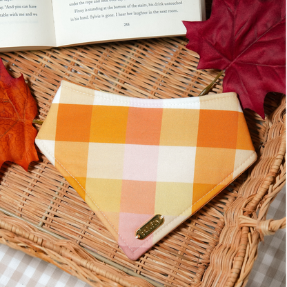 Pumkin Spice Bandana
